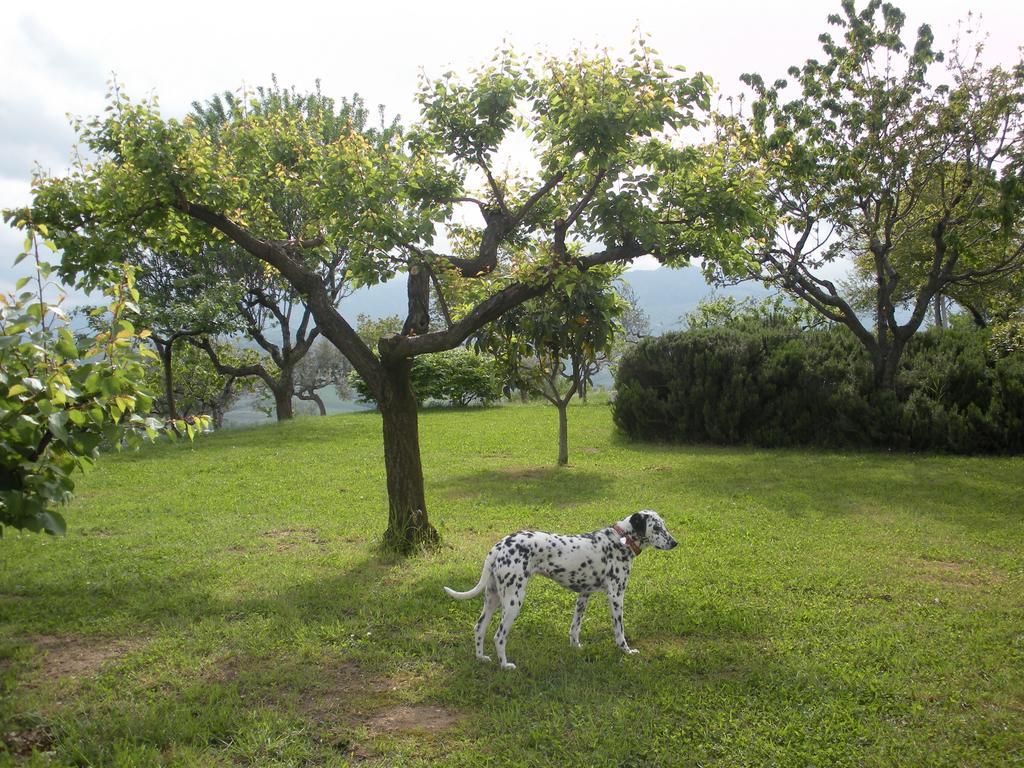 Le Stagioni Affittacamere Loreto Aprutino Esterno foto